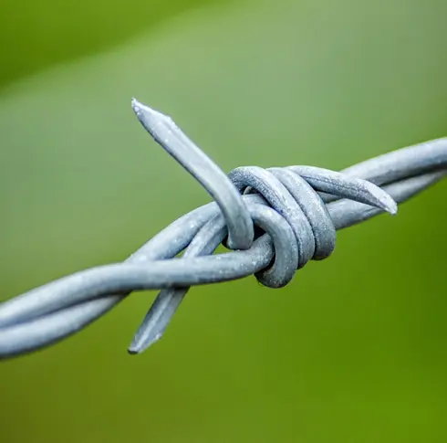 Barbed-Wire