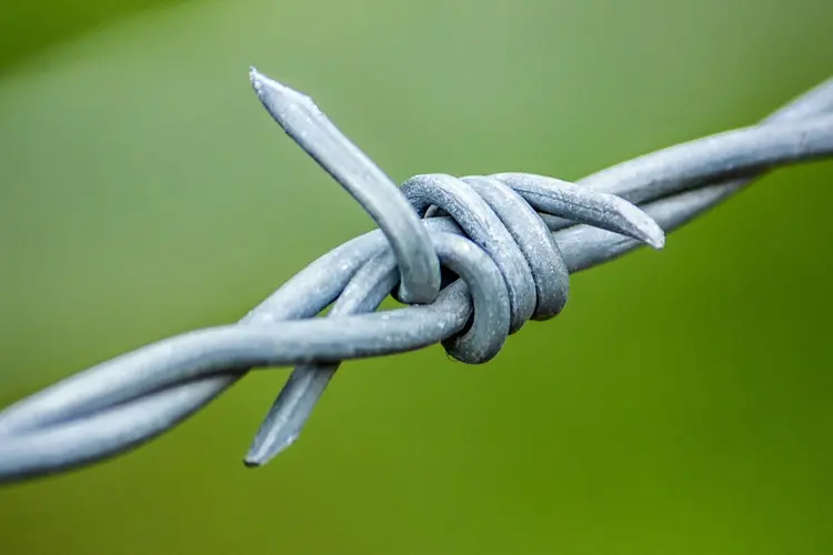 barbed-wire