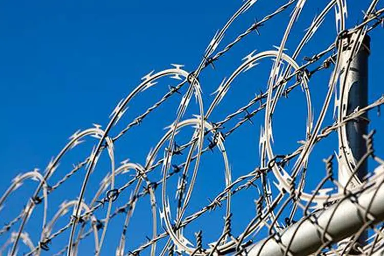 concertina-wire