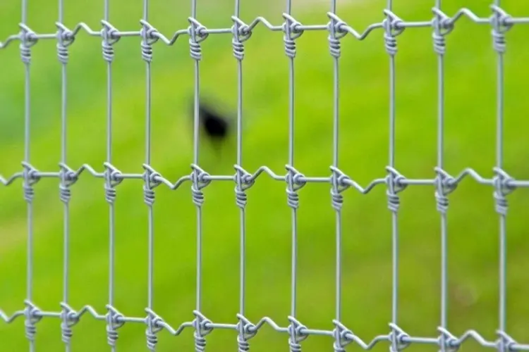 knotted-fence