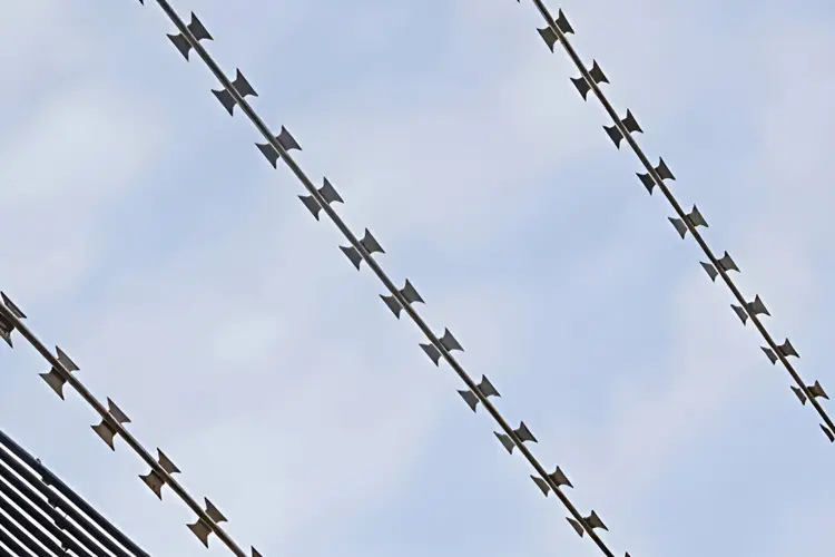 razor-blade-wire